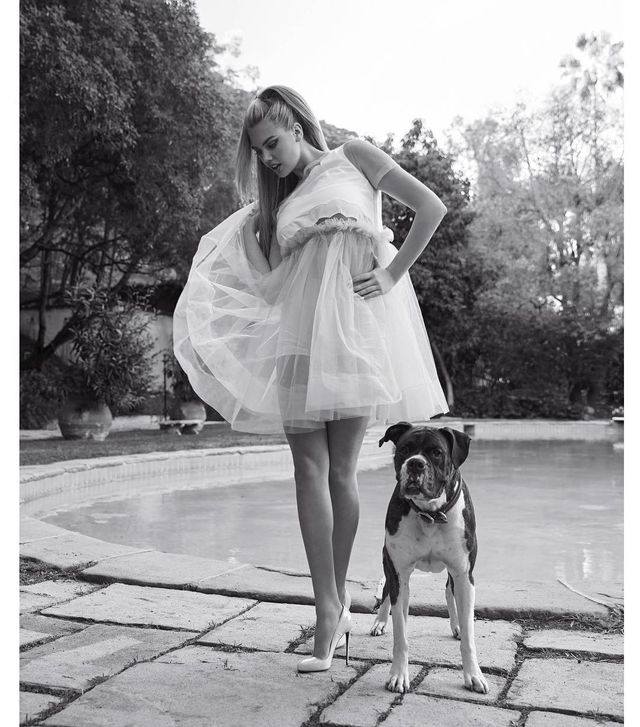 Кейт практично не розлучається зі своїм собакою - фото 254268