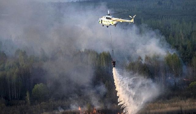 Масштабна пожежа в Чорнобилі - фото 253138