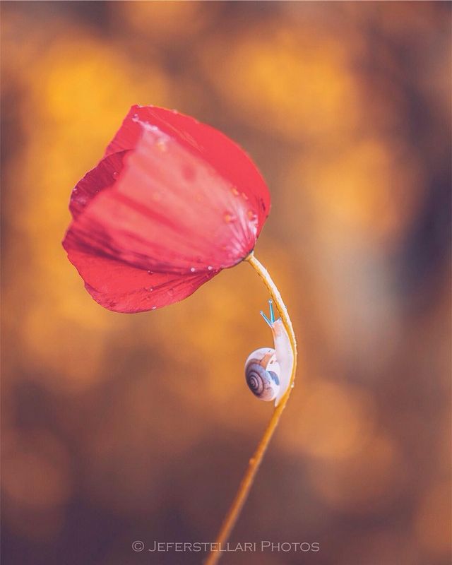 Чарівна природа з незвичайних ракурсів: атмосферні фото - фото 257121