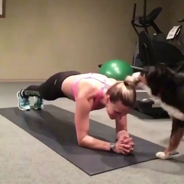 Собака, який зриває тренування, став зіркою мережі: кумедне відео