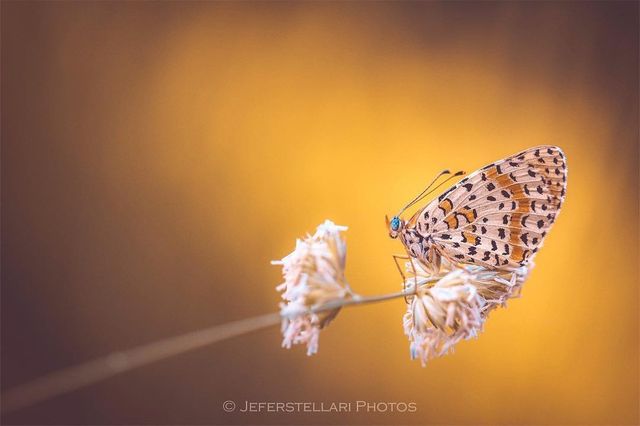 Чарівна природа з незвичайних ракурсів: атмосферні фото - фото 257122