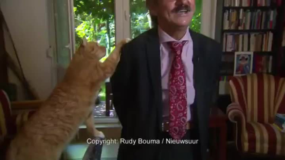 Рудий кіт зірвав інтерв'ю польського історика: епічне відео - фото 1
