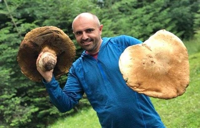 У Карпатах збирають величезні гриби: фотофакт- фото 259920