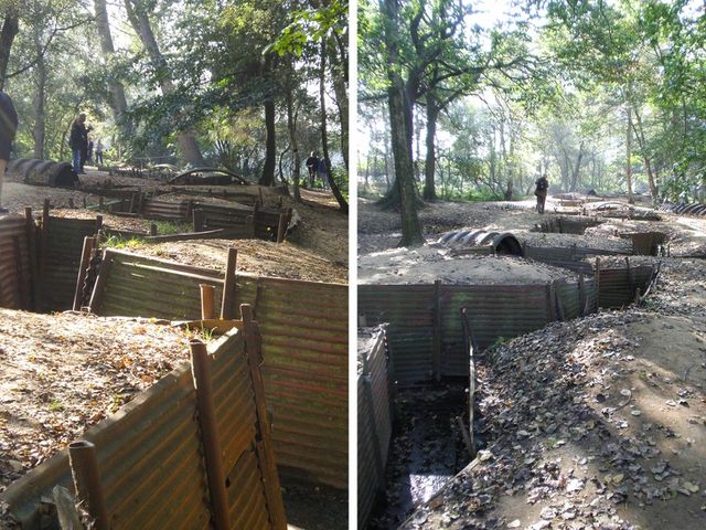 Священний ліс - фото 263457