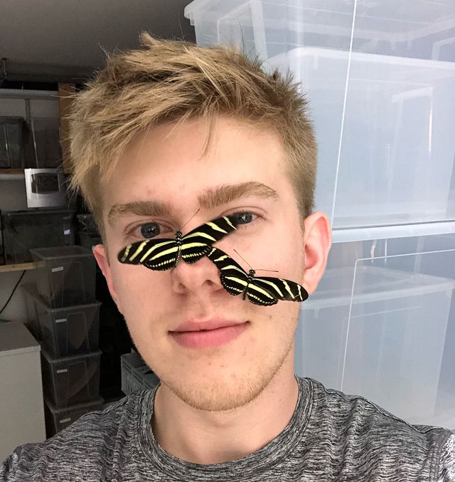 Instagram - фото 261084