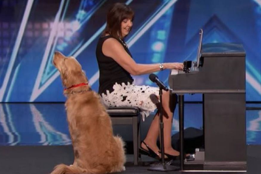 На шоу талантів у США співаючий собака вразив суддів і пройшов в наступний тур: відео