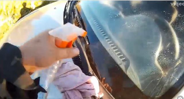 Засіб очищує від мошки - фото 265905