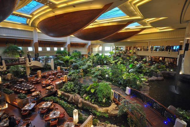 Усередині цього унікального готелю – справжні джунглі- фото 264492