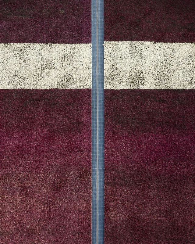 Том Хеген знімає тюльпанові поля з висоти - фото 265004