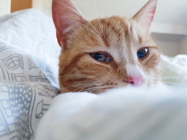 Улюблені фізичні активності - фото 262857