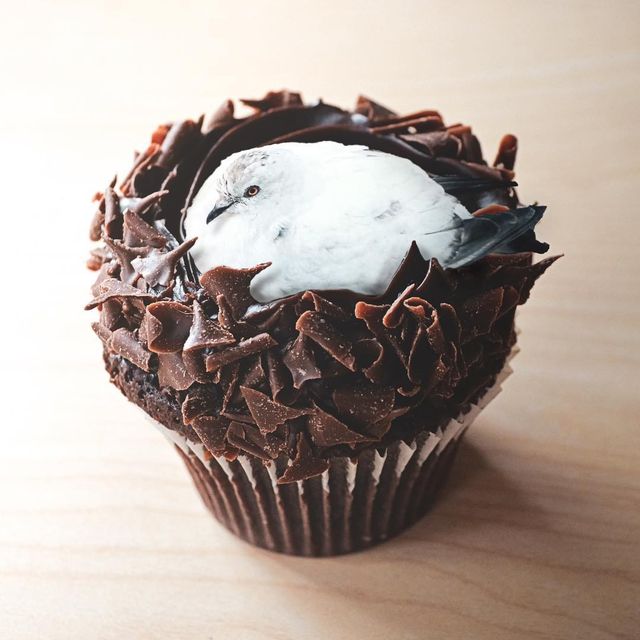 Унікальний фантастичний світ на межі з реальністю - фото 261783