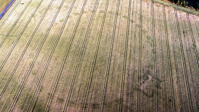 В Ірландії дрон виявив новий "Стоунхендж": відеофакт