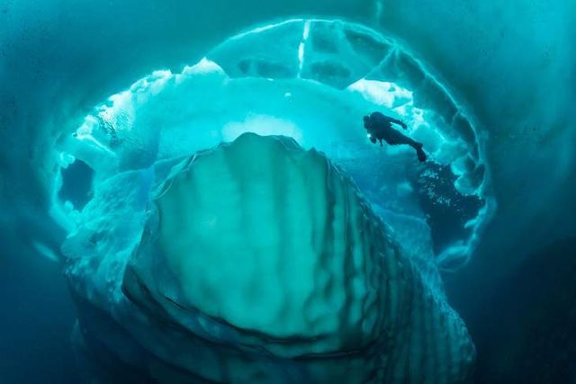 Гігантські айсберги у незвичайних підводних знімках- фото 261894