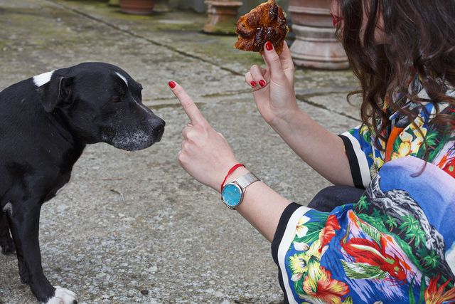 Ефектні кадри рекламної кампанії годинників Gucci - фото 264117