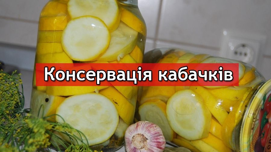 Кабачки на зиму: рецепти приготування консервації кабачків у фото