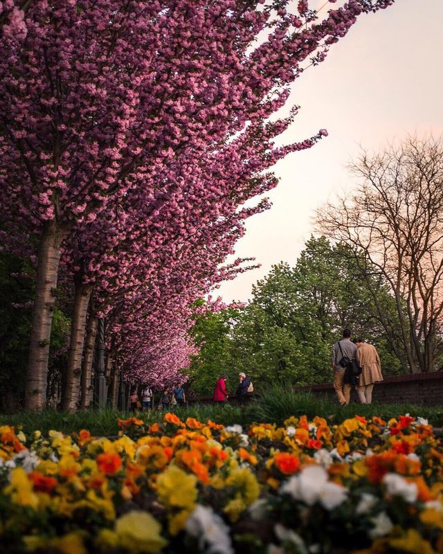 Алла Іллес ділиться подорожами Європою - фото 266663