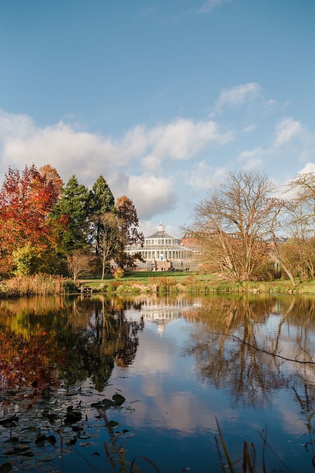 Рік з найщасливішими людьми у світі: сонячні фото - фото 259809