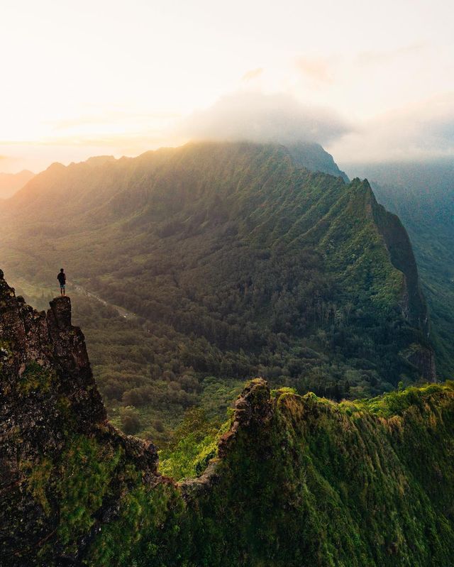 Чарівне життя на Гаваях в об'єктиві фотографа - фото 259695