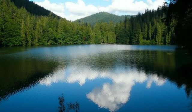 Шелехівське озеро - фото 260955