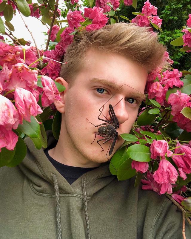 Instagram - фото 261078