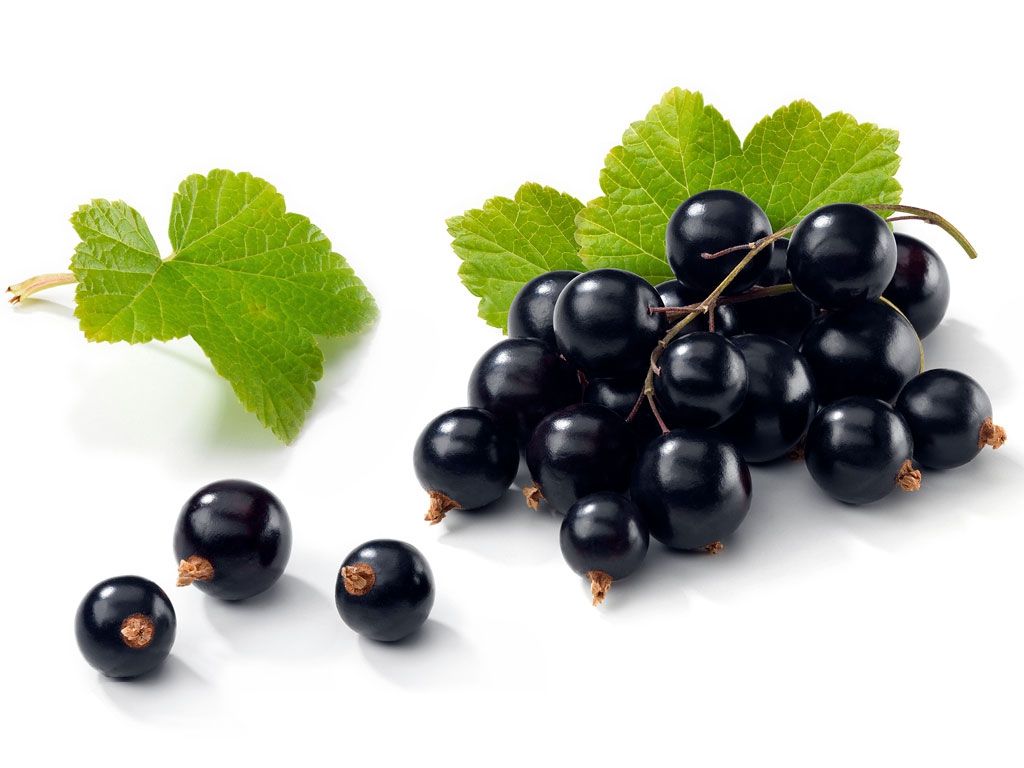 Ось чому варто пити чай з листям смородини