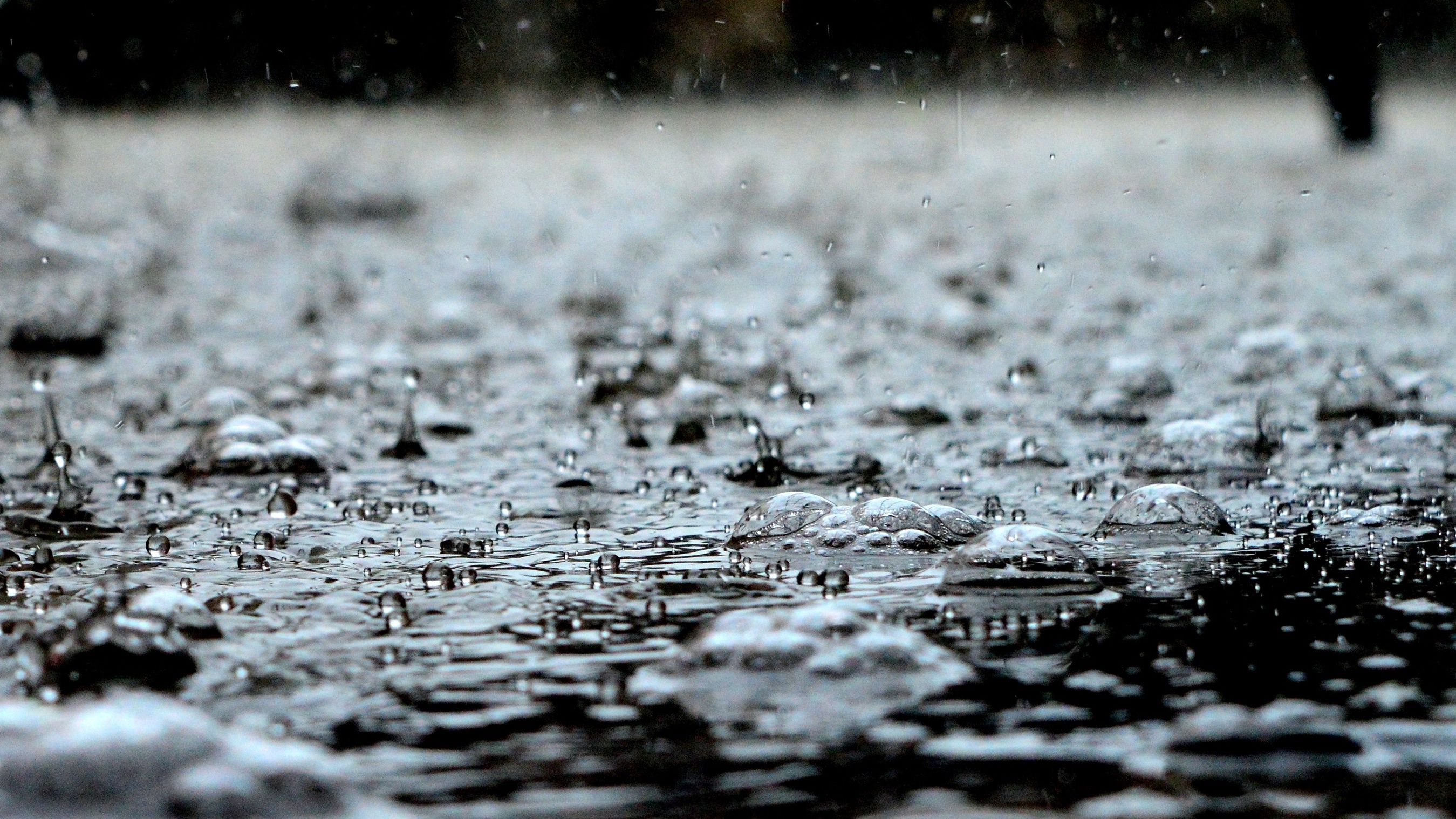 Дощовий Харків - фото 1