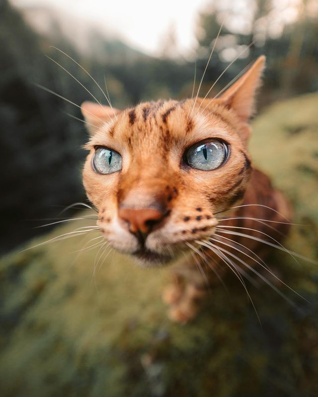  Еммет Спарлінг надихає своїми подорожами в Instagram - фото 264634