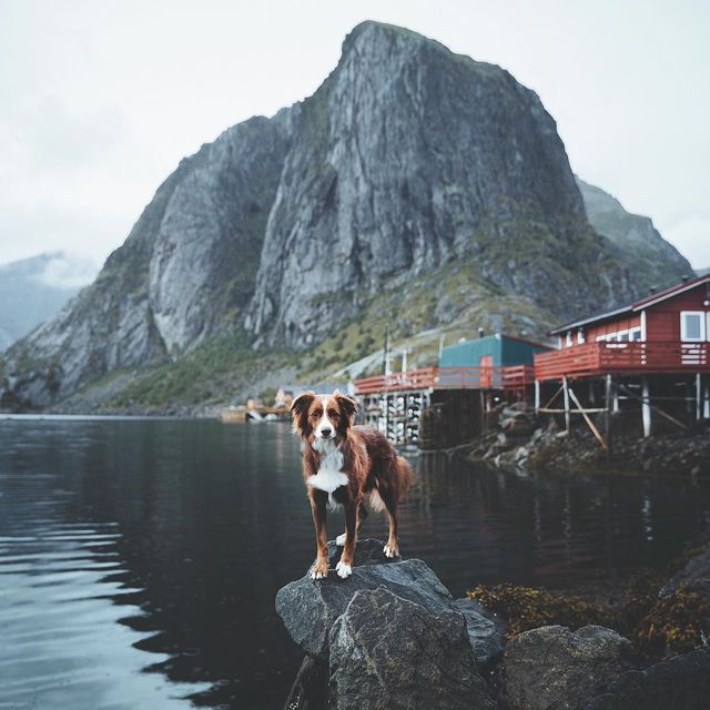 Німецький фотограф надихає людей своїми подорожами - фото 262249