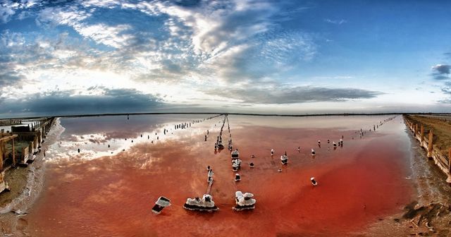  Озеро Сиваш - фото 260956