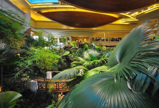 Усередині цього унікального готелю – справжні джунглі- фото 264493