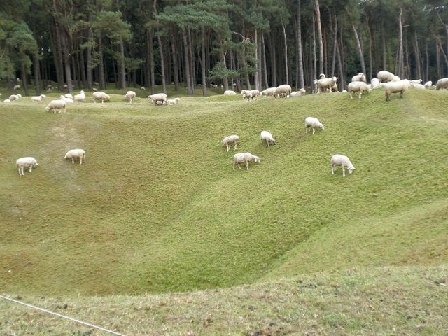 Заповідник Вімі - фото 263458
