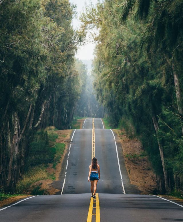 Чарівне життя на Гаваях в об'єктиві фотографа - фото 259701