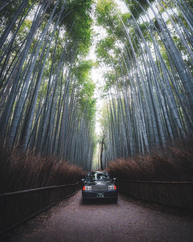 Талановитий британець надихає своїми мандрами - фото 264553