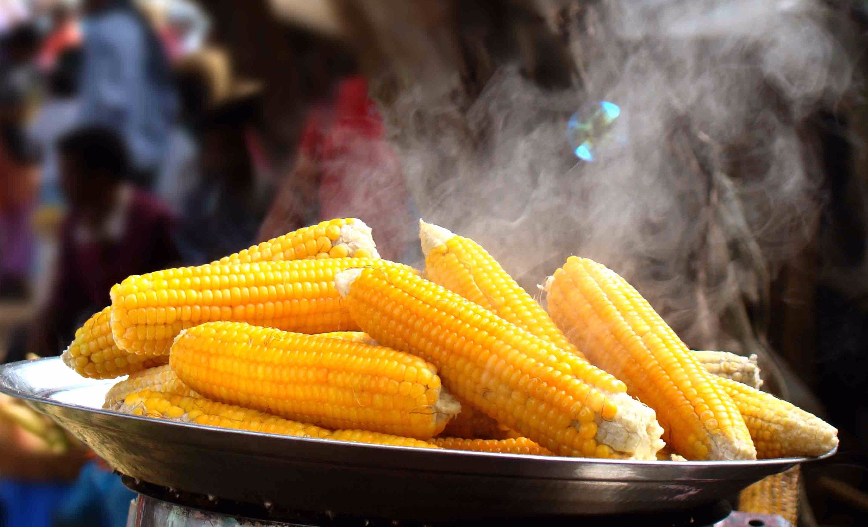 Як правильно варити кукурудзу в каструлі?