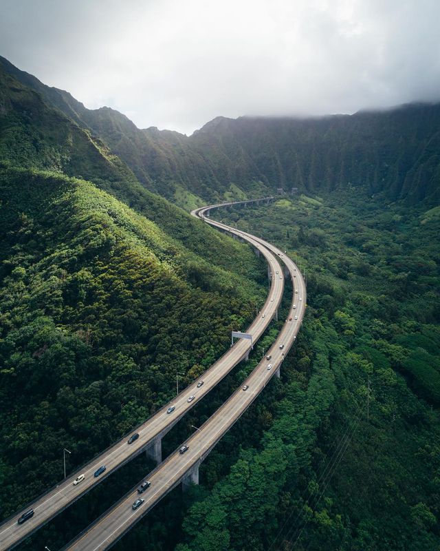Чарівне життя на Гаваях в об'єктиві фотографа - фото 259700
