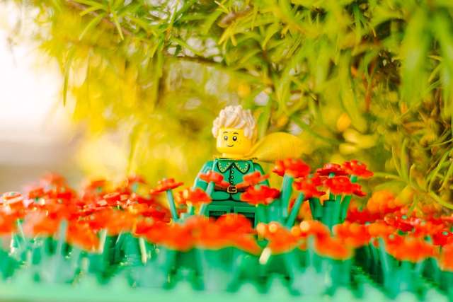 Ключові сцени з 'Маленького принца' з Lego - фото 266704