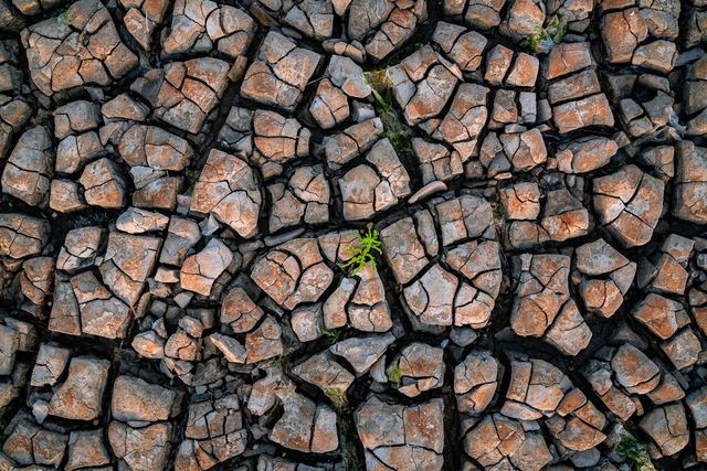 Так виглядають наслідки тривалої спеки у Нідерландах- фото 263544