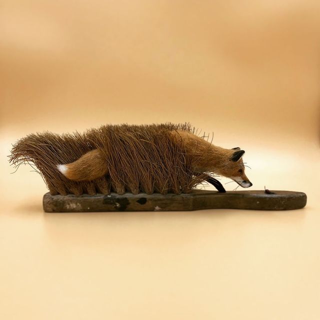 Лисиця виходить на полювання - фото 262597