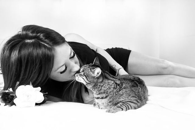 Задоволені коти у чарівному фотопроекті - фото 259738
