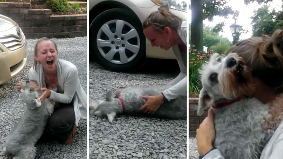 Кадр з відео - фото 1