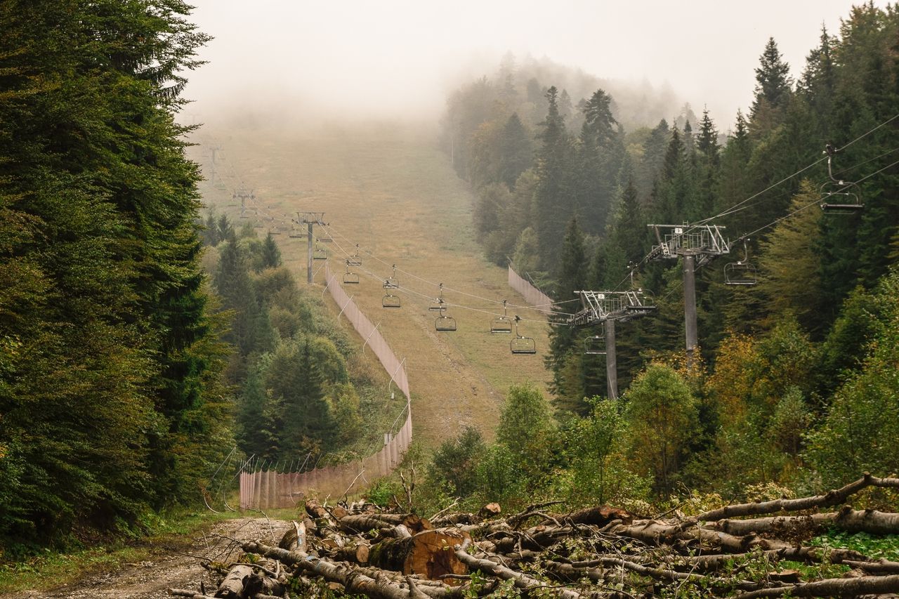 Яку погоду очікувати українцям на Петра і Павла - фото 1