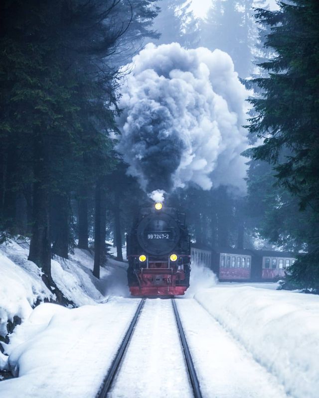 Талановитий британець надихає своїми мандрами - фото 264541