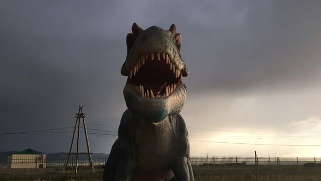 Найкращі фото, зроблені на iPhone - фото 264243