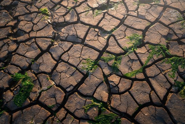 Тривала відсутність опадів відзначилась на прибережній зоні також - фото 263545