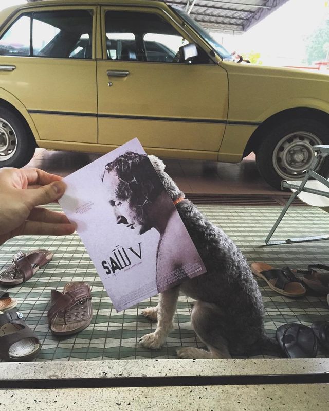 Постери відомих фільмів доповнили домашні улюбленці - фото 261310