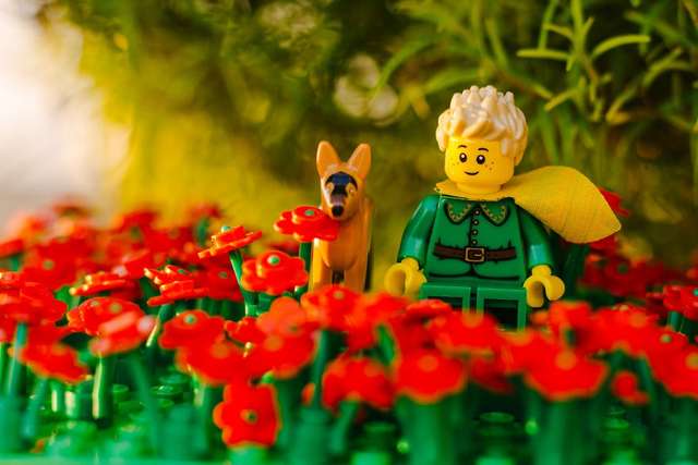 Ключові сцени з 'Маленького принца' з Lego - фото 266696
