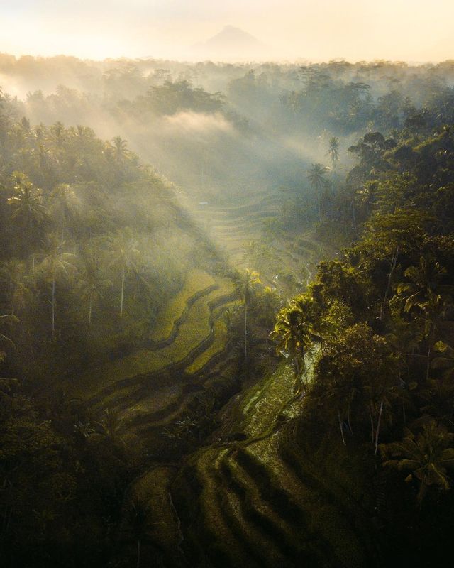  Еммет Спарлінг надихає своїми подорожами в Instagram - фото 264635