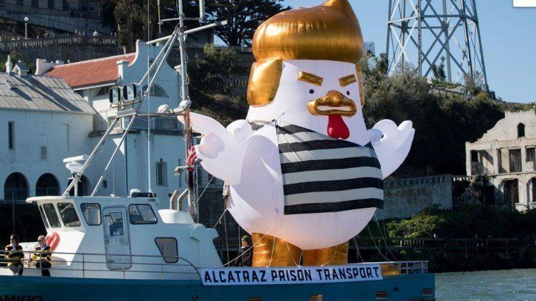 Трампа-курча - фото 1