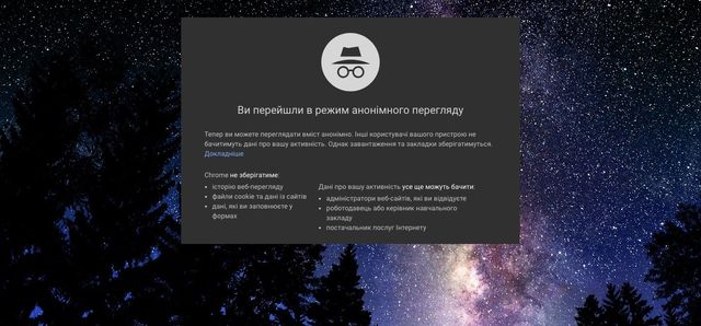 Попередження, яке з'являється в режимі інкогніто - фото 260807