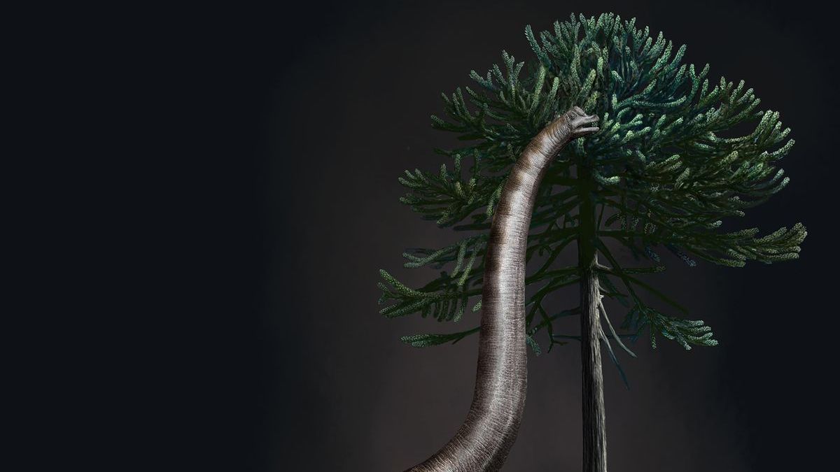 Вчені знайшли динозавра з найбільшою у світі стопою